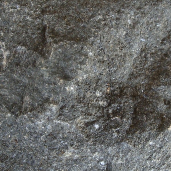 Basalt - Butterfly Black Split Mushroomed