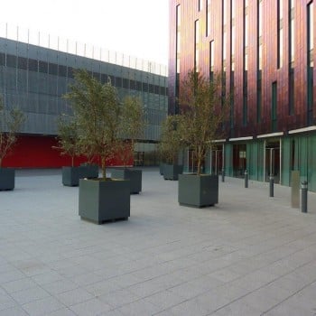 HDG - Architectural Concrete Pavers in Hotel Terrace Application - HDG Building Materials