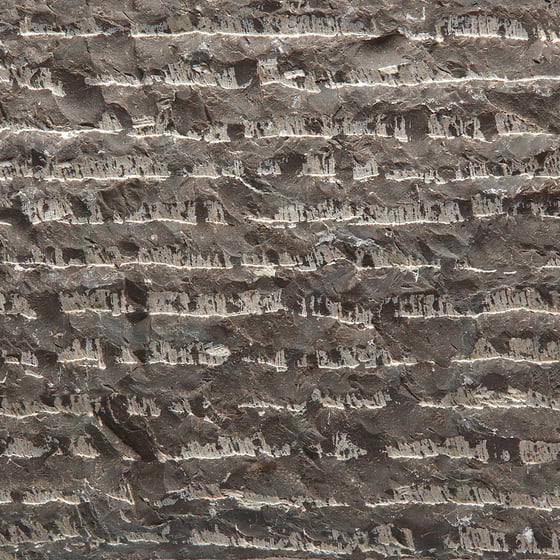 Finished Turtle Shell Limestone