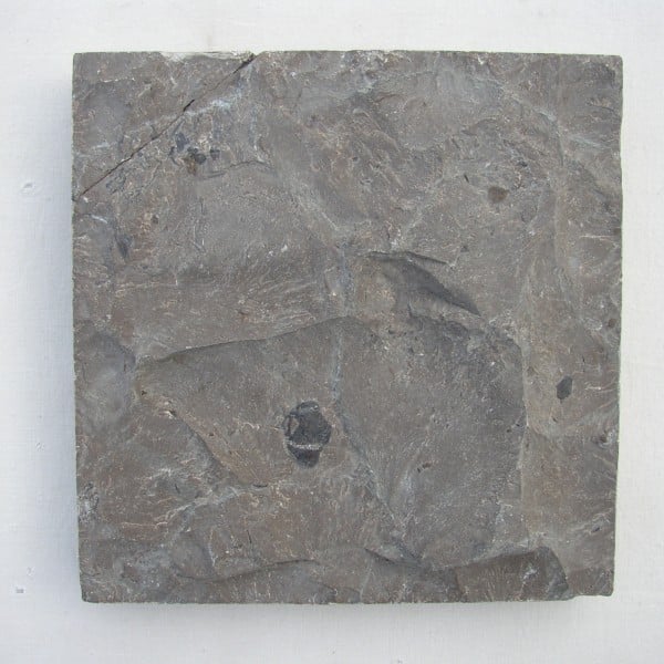 Mushroom Finished Turtle Shell Limestone from HDG Building Materials