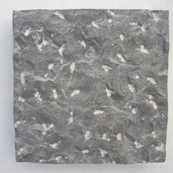 Turtle Shell Limestone with Random Pineapple Finish from HDG Building Materials