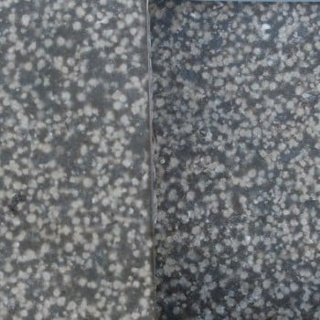 Turtle Shell Limestone - HDG building Materials