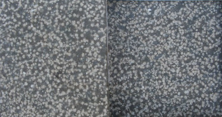 Turtle Shell Limestone - HDG building Materials