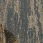 Caviar Greige Limestone