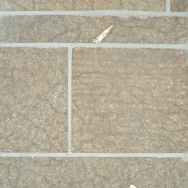 Turtle Shell Limestone Building Material for Cladding in Aljoya House Lobby