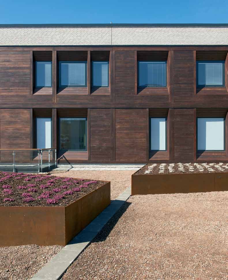 Thermally Modified Ash 1 x 6 Cladding in Hospital Facade - HDG Building Materials