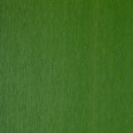 TruGrain Resysta Decking Colors and Finishes: Resysta decking, siding, and interior Color FVG C60062 Apple Green