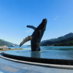Whale Sculpture Project in Infinity Pool - HDG Building Materials