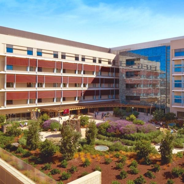 Outdoor Garden and Balcony - Buzon Pedestals and HDG Building Materials