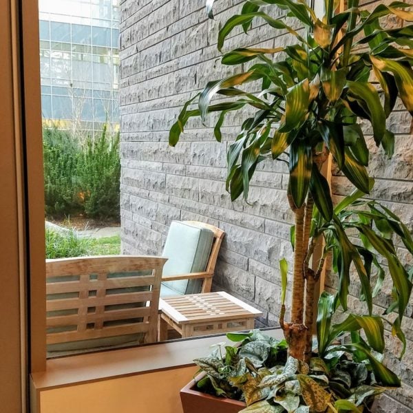 HDG Turtleshell Limestone Inside and Outside - HDG Building Materials