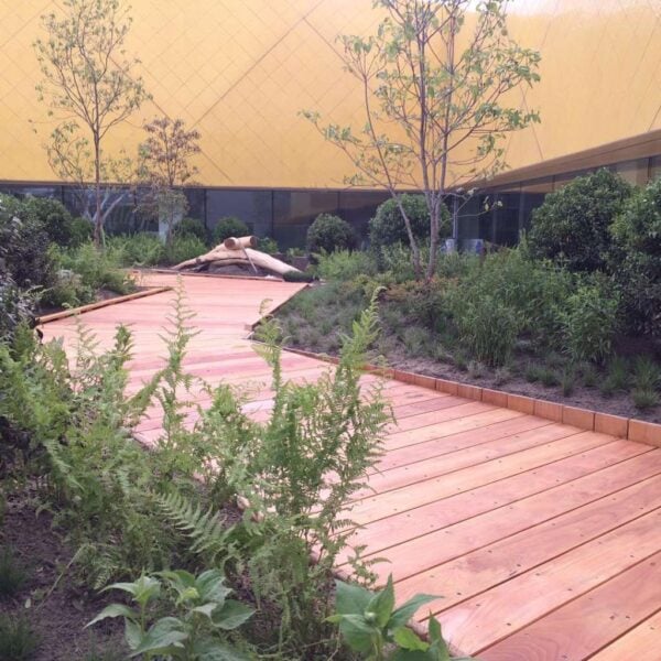 Curving Black Locust boardwalk winding through landscaped grounds at a museum.